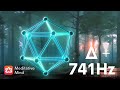 741Hz ➕ Δ┋Spiritual Detox Frequency + 3.5Hz Delta Brainwaves Binaural Beats