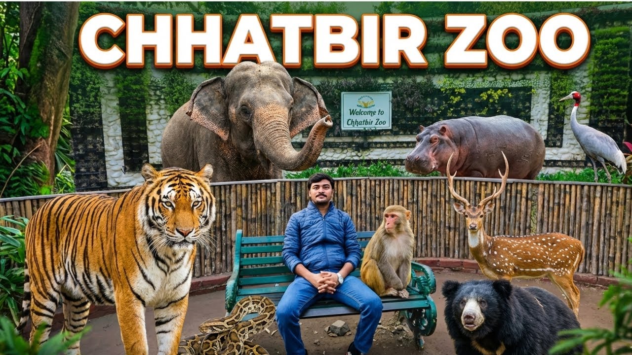 What It Feels Like Inside CHHATBIR ZOO | A Must-Watch | Epic Trips