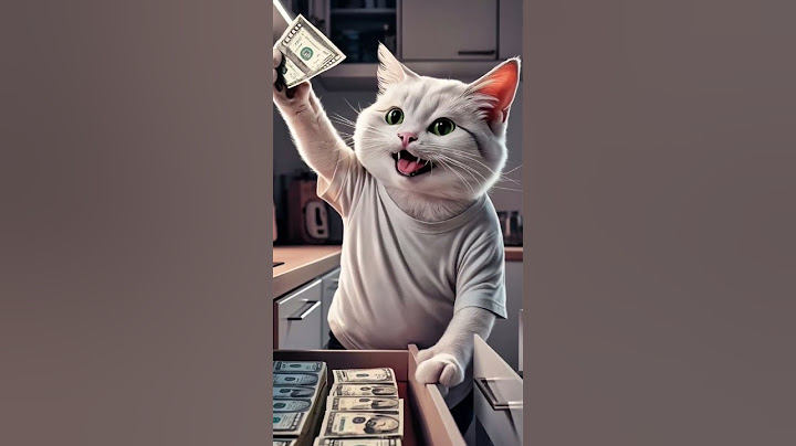 Cat has a lot of money for a new phone 😾📱 #cat #cute #kitten