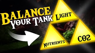 Balance Your Planted Tank with This Ultimate Technique!
