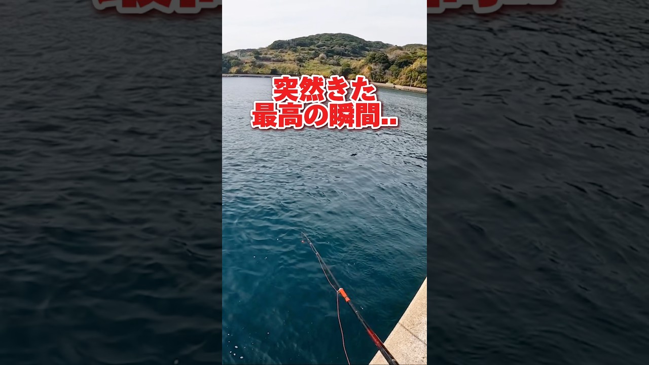 突然きた沈黙からの最高の瞬間#釣り#fishing