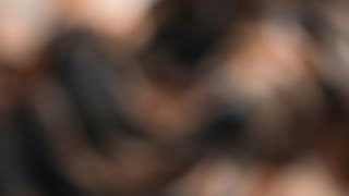 4K Shein Try-On Haul Lingerie 2026 Micro Bikini, See-Through Transparent Lingerie Fashion Trend