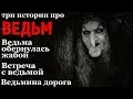 Истории на ночь (3в1): 1.Ведьма обернулась жабой, 2.Встреча с ведьмой, 3.Ведьмина дорога