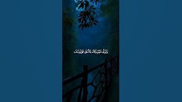 تلاوة جميلة تخشع لها القلوب و الابدان