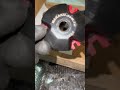 #piaggiosfera Vario Gewichte wie schwer fahrt ihr Kupplung Einstellungen 🔧 #roller