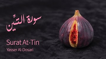 Surat At-Tin (The Fig) | Yasser Al-Dosari | ياسر الدوسري | سورة التين
