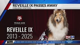 Miss Reveille IX passes away due to complications from pneumonia