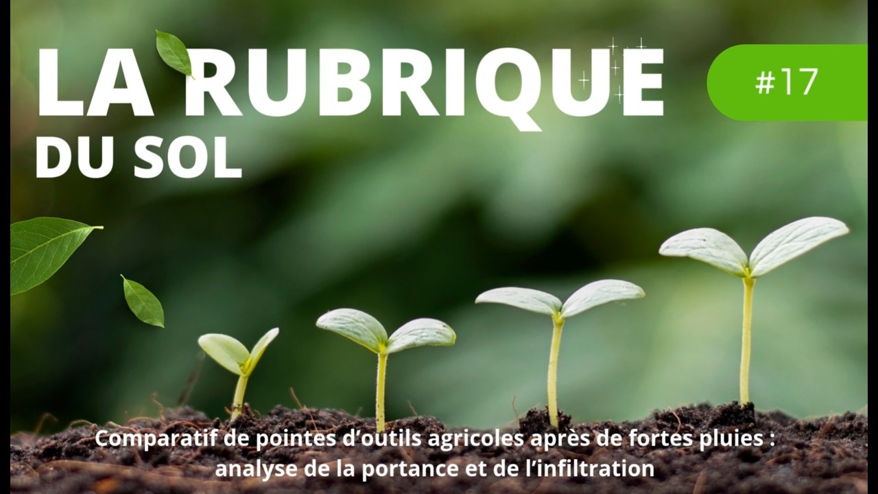 La rubrique du Sol #17