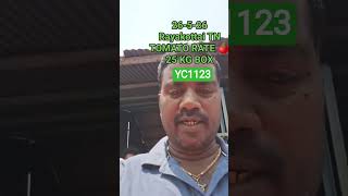 Rayakottai#hybridtomato#kiccha#apmc#market#mandyaflowerrate#gilli#kavya#dboss#kannada#viral#shorts