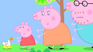 Peppa Pig Can't Find Her Golden Boots| Peppa Pig Official Family Kids Cartoon screenshot 2