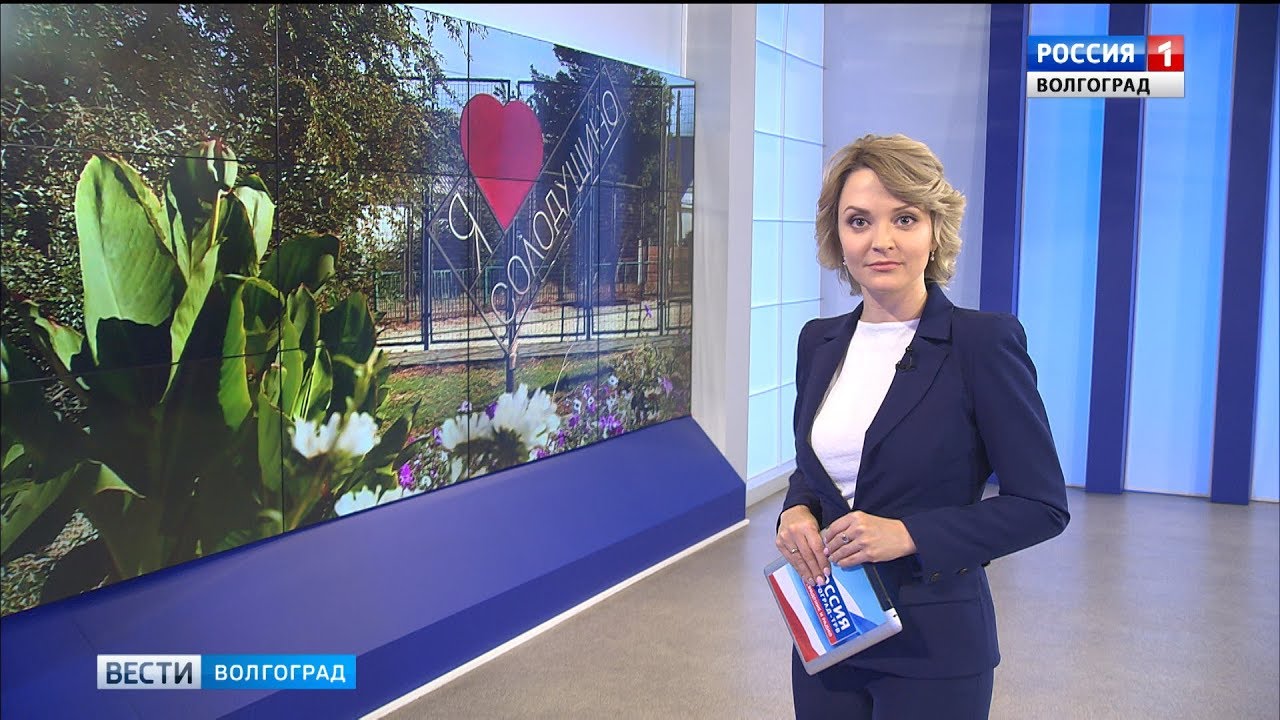 Вести волгоград. Ведущие волгоград 24 женщины. Волгоград трв 24. Гтрк "волгоград-трв". Ведущие волгоград 24.
