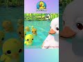 Five Little Ducks – 1 MIN Fun Music Loop 🐤 | Sound Variations &amp; Kids Remix | Duckymix Kids TV