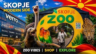 Modern Skopje 🇲🇰 | Verro Mall Shopping & Skopje Zoo Adventure! 🦁🛍️