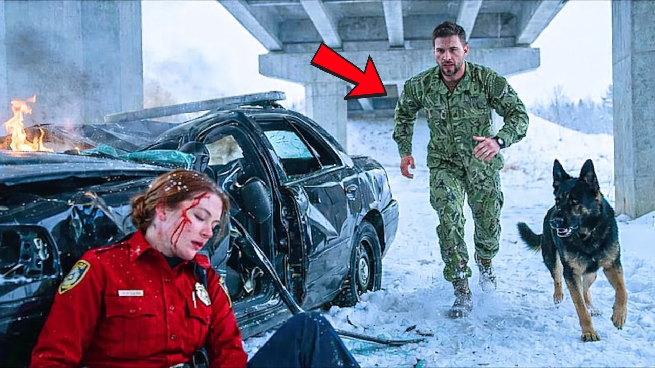 Un Navy SEAL y su K9 hallan a una policía herida en la nieve… ¡Lo descubierto sacudió al pueblo!
