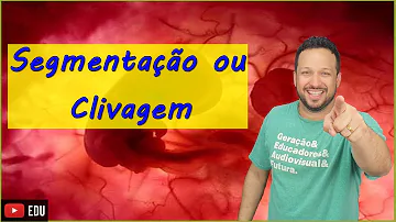 Quando uma segmentação produz?