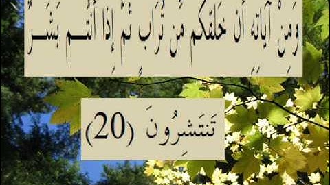 القران الكريم سورة الروم الأية 20.wmv
