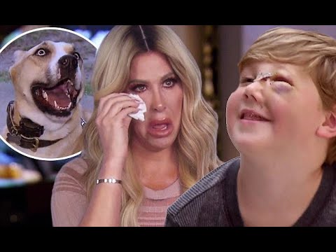 zolciak dog attack zolciak dog attack