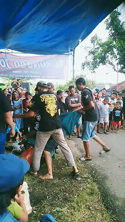 Jepaplok'e Wayahe Ndadi #jaranan #ndadi #kudalumping