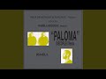 Paloma discoplex radio edit remix