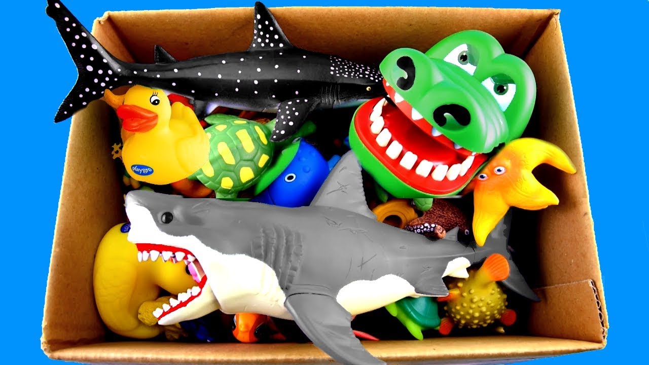 Kids box wild animals