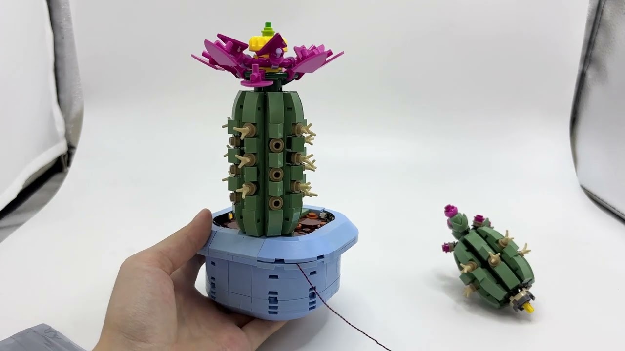 11509 Flowering Cactus