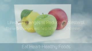 Top 4 Lifestyle Changes to Reduce Your Cholesterol