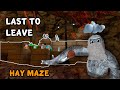 LAST TO LEAVE The Hay Maze in Gorilla Tag Wins!!