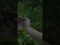 旧安西記念病院男性1名██事件について