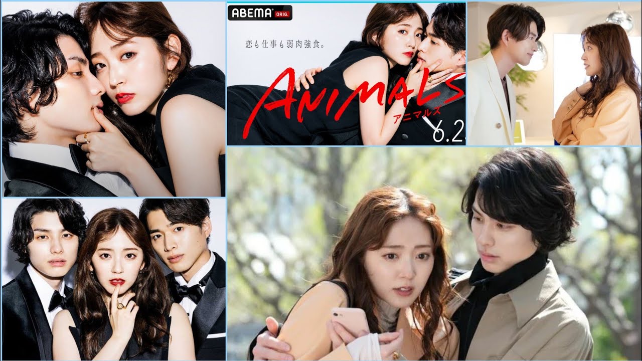 Animals (2022) Japanese Romance Drama 💖 🌺 - YouTube