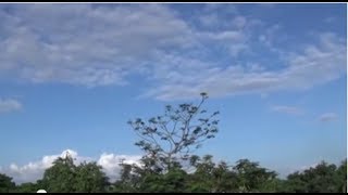 Glimpses Of A Beautiful Indian Village | Bira, West Bengal, India