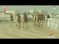 ش 4 السيف الذهبي حول مفتوح دولة هجن الرئاسة 11 59 83 ختامي الشحانية 2026 04 30