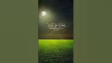 تلاوة خاشعة ومؤثرة بصوت القارئ شريف مصطفى | يَا حَسْرَةً عَلَى الْعِبَادِ ۚ