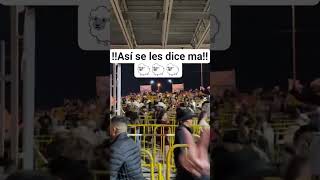 #borreguito #humor #paisanosenusa #sinquehacer #bailespotosinos