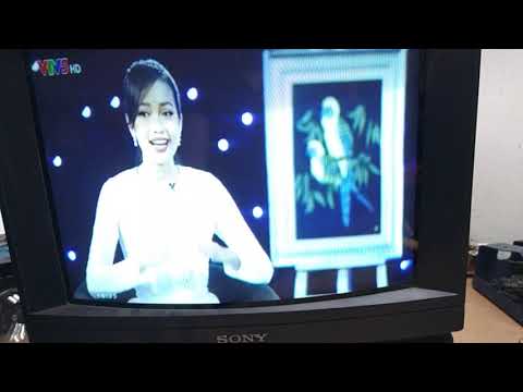 Video Sửa chiếc Tivi này cho khách mùa hè xem Tôn Ngộ Không!... - youtube