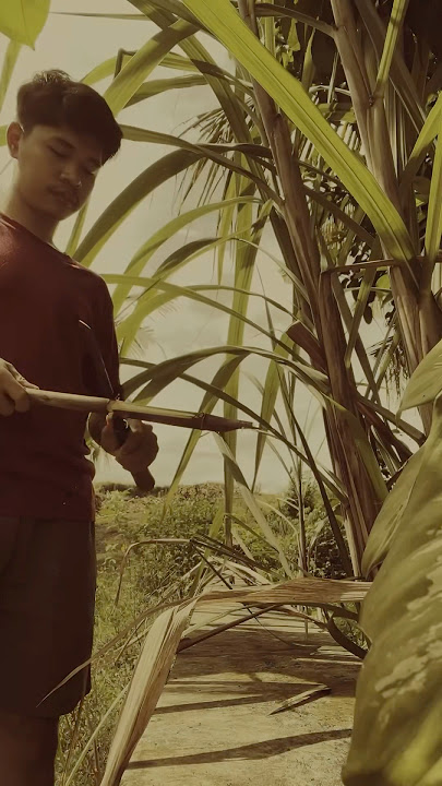 Kalian pengen balik ke tahun berapa? #fyp #trending #viral #nostalgia #nostalgia90an #jadul