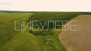 Цибулеве | Баба Єлька. Експедиція на піч