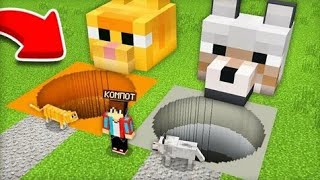 ЯМА КОШЕК ПРОТИВ ЯМЫ СОБАК В МАЙНКРАФТ | КОМПОТ minecraft