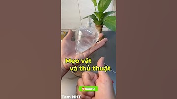 Chia sẽ kinh nghiệm buộc miệng túi nilông không cần sợi thun￼ #trick #meovatvathuthuat #shorts