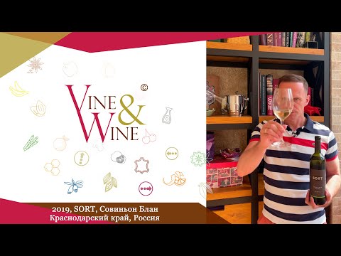 Дегустация вина SORT, Совиньон Блан, 2019, ЗГУ Кубань. Новороссийск, Краснодарский край, Россия