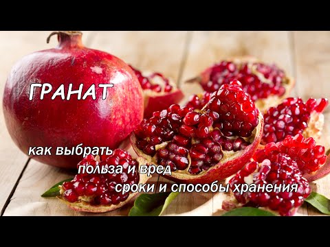 Как хранить гранаты в домашних условиях в холодильнике