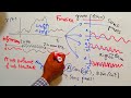 Séries de Fourier/ part 6