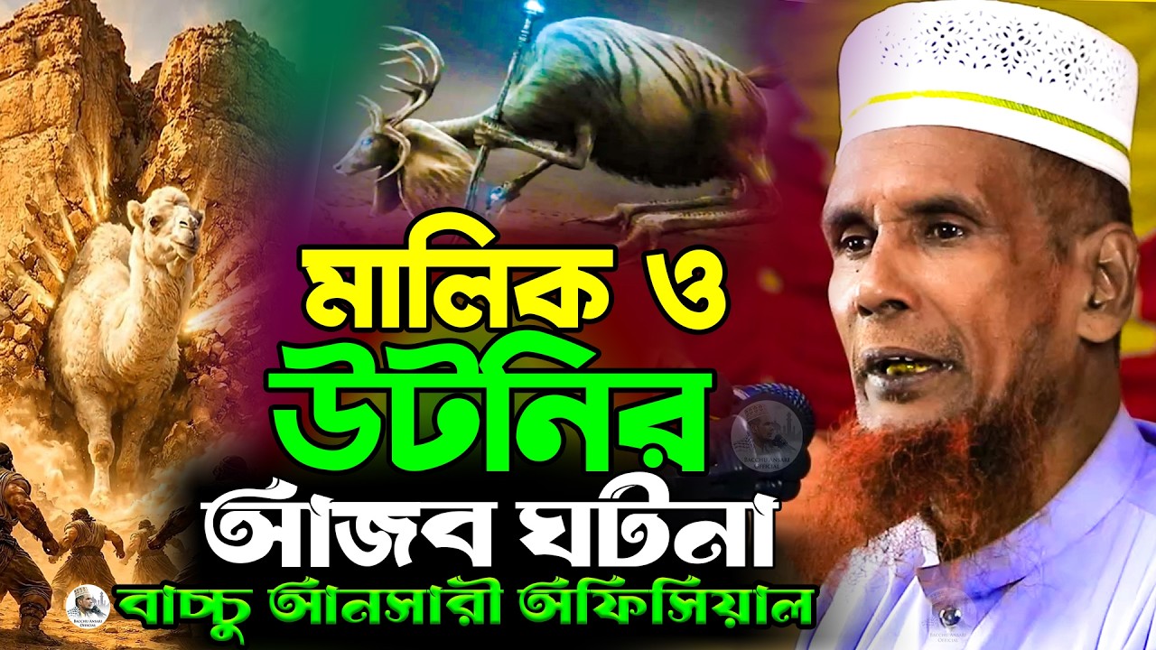 এক উটনির কান্নার কারণ একবার হলেও শুনুন Mawlana Baccu Ansari Official New Waz