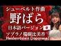 野ばら【シューベルト作曲・日本語】 - ソプラノ瑞樹比美香 Heidenröslein (Japanese)