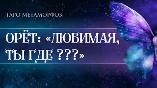 🦋ОН ОРЁТ... ЛЮБИМАЯ, ТЫ ГДЕ??? Таро💎