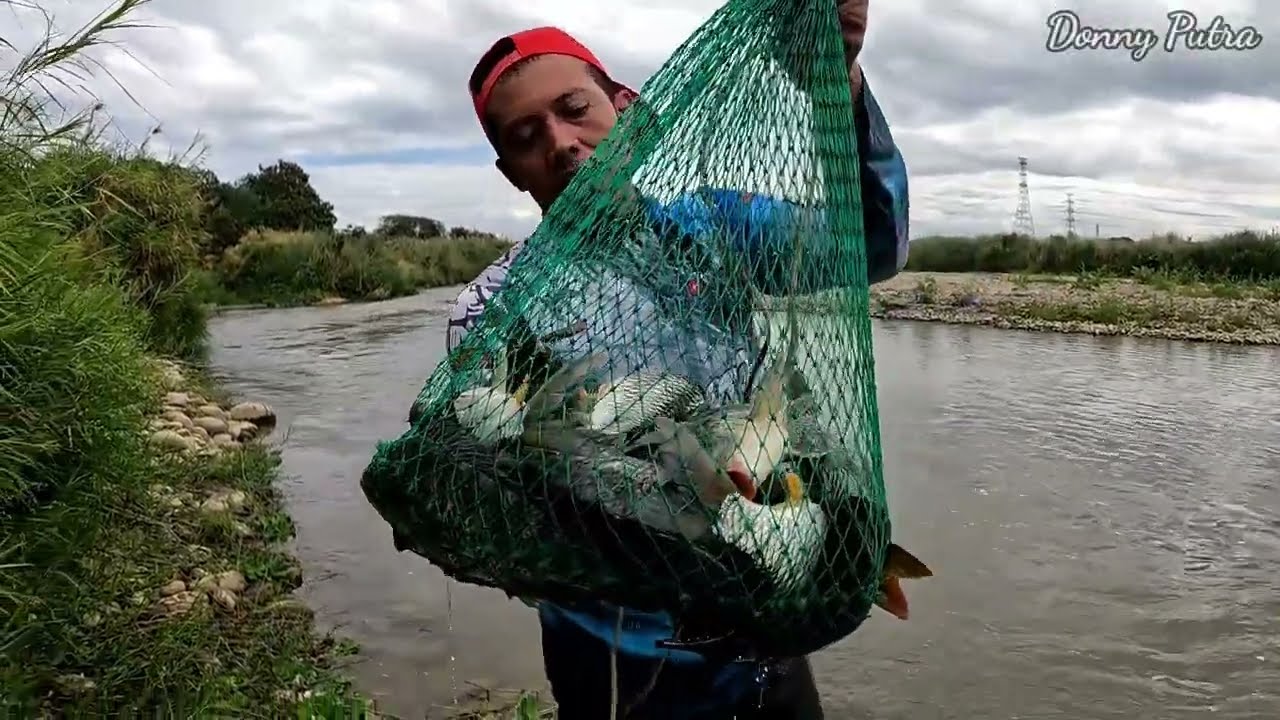 Jala Ikan Di Sungai Ini, Banyak Jenis Ikan Yang Kena Jala / Traditional ...