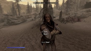 Skyrim: Dragonborn mage random encounter + resurrection!