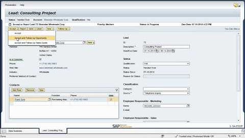 Managing Sales Strategy with SAP Business ByDesign: Product Demo