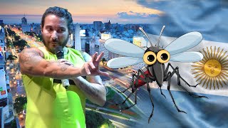 ''MOSQUITOS EN BUENOS AIRES'' - #FelipeAvello en vivo desde #BuenosAires #Argentina 2024