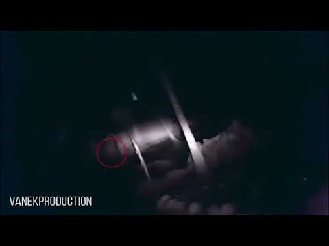 5 НЕИЗВЕСТНЫХ СУЩЕСТВ