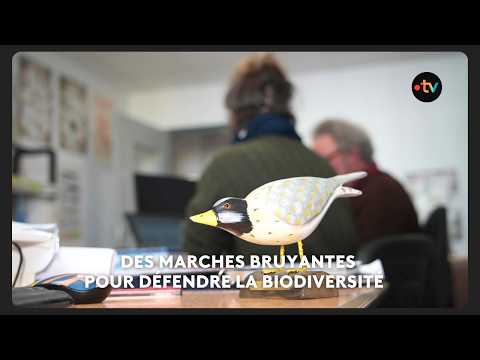 Des marches bruyantes pour défendre la biodiversité. An Taol Lagad du 3 avril 2026